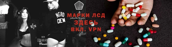 сатива Лабытнанги