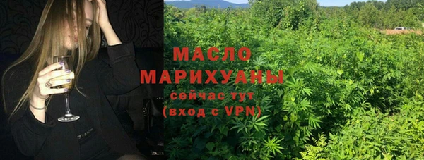 сатива Лабытнанги