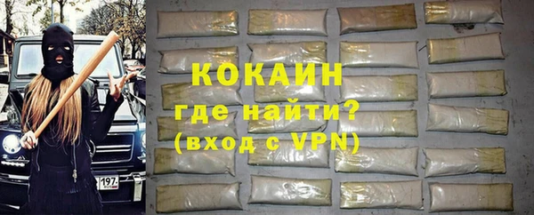сатива Лабытнанги