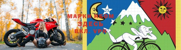 спиды Липки